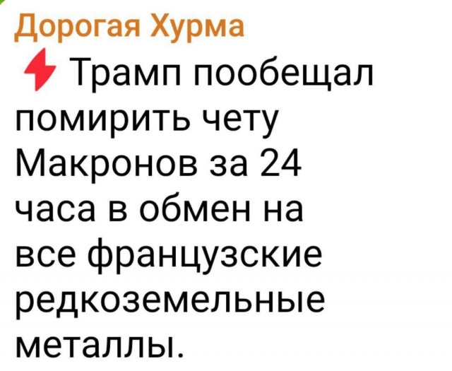 Трамп пообещал помочь Макронам