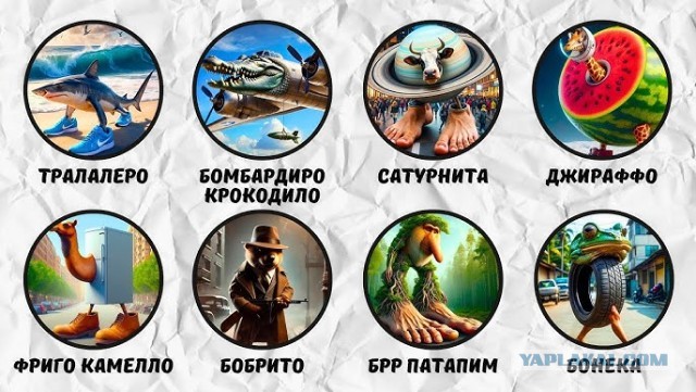 Весёлый полтишок 06.06.25