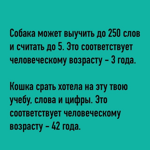 Так себе картинки 14.06.25