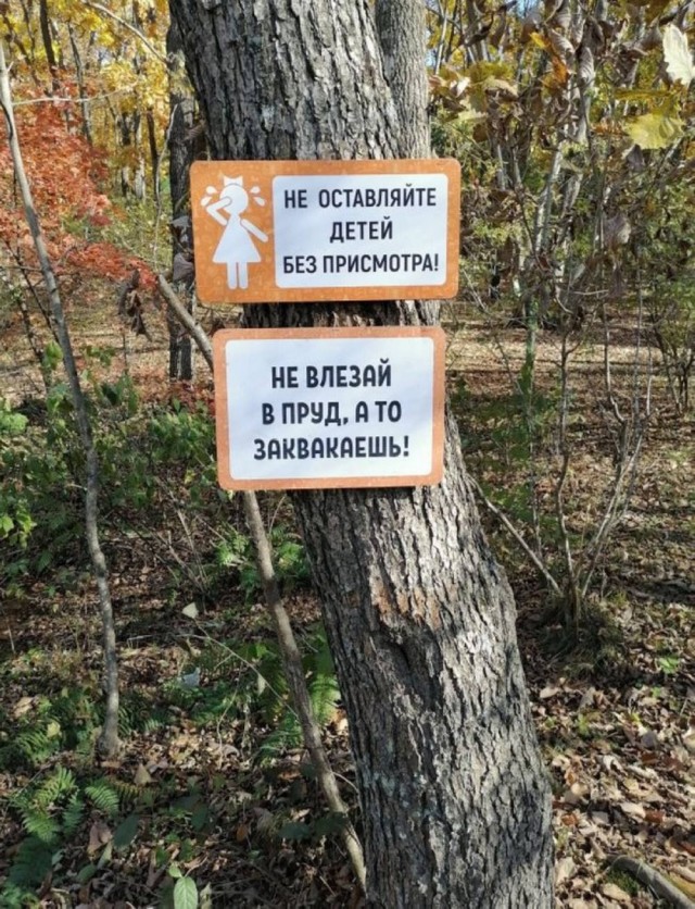 Пост с картинками.