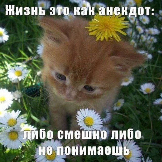 Дегрономикон 7