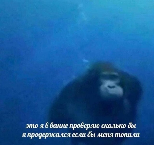 Картинки для деградации 125 (разной степени свежести)