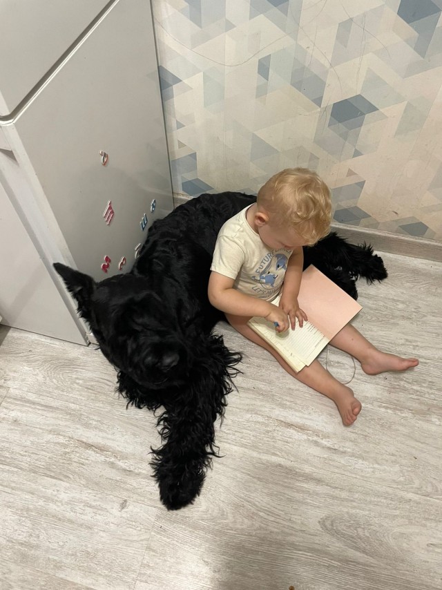 К собакочетвергу. Дачное
