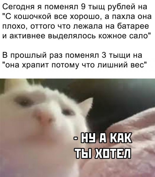 Картинки для деградации 225 (разной степени свежести)