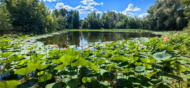 Байкал. Офигенно.