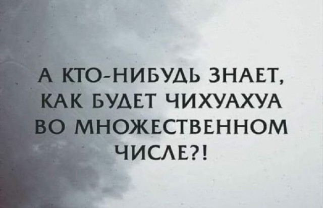 Веселые картинки в пятницу (28.08)