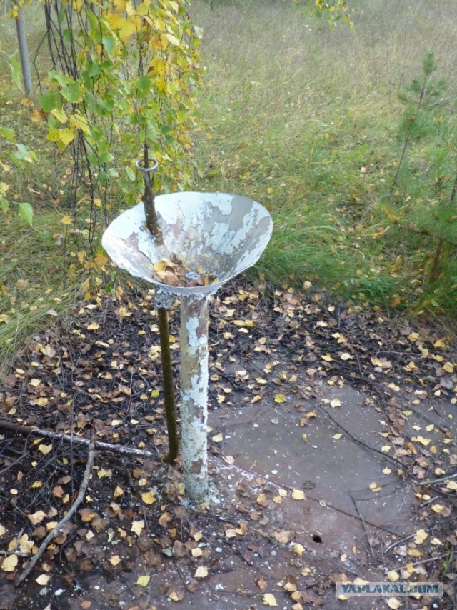 Назад в прошлое