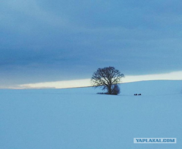И целого мира мало!