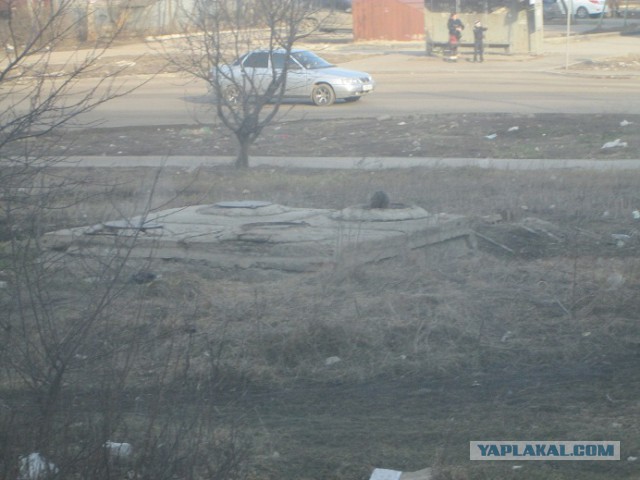 Котовторник  25.03.2014