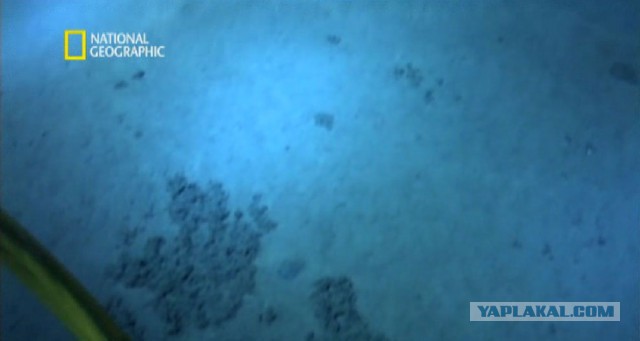 Марианская впадина