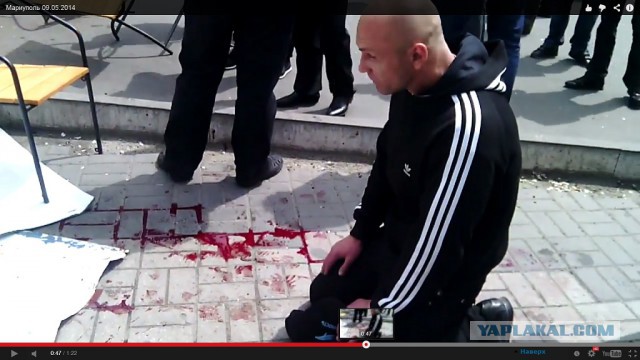 Покадровый разбор видео расстрела толпы