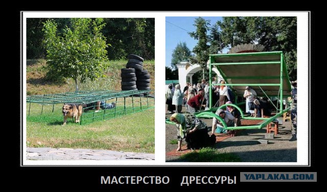 Обман, кругом обман