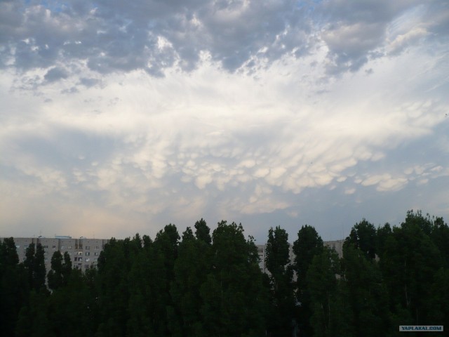 Вымяобразные облака