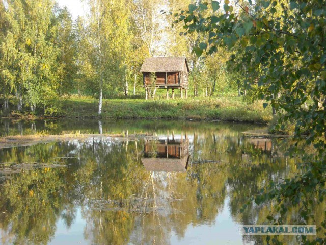 Природа и животные