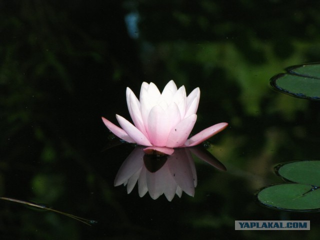 Дорога из Киева и из Москвы в Ялту.