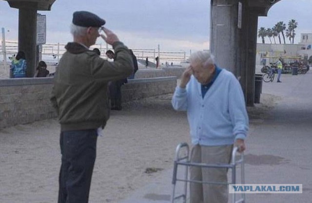 Благодарность ветерану, спасшему от смерти