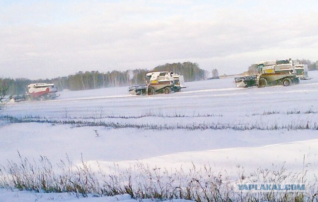Последние новости АТО: российская армия