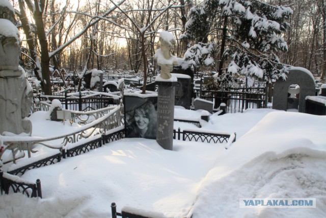 Ваганьково. 25 января 2015 года.