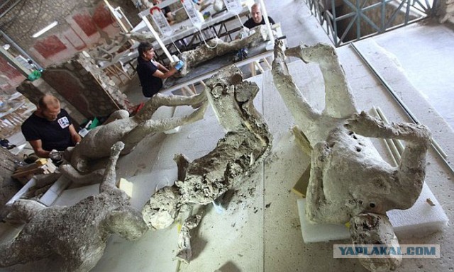 Что находят под застывшей лавой Везувия в Помпеях
