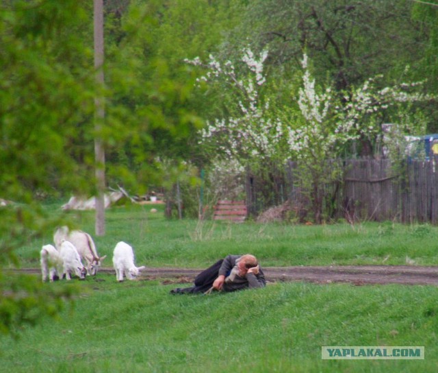 Деревня
