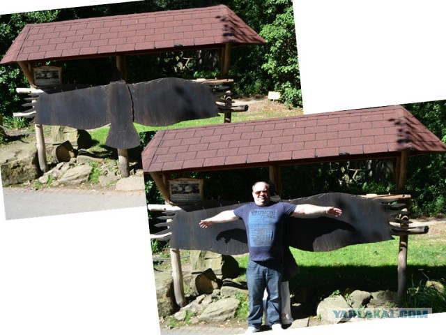 Гастрономическое путешествие мистера Andy, Кулинария для andy2308