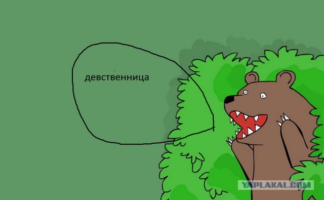 В Прикамье изнасиловали девушку