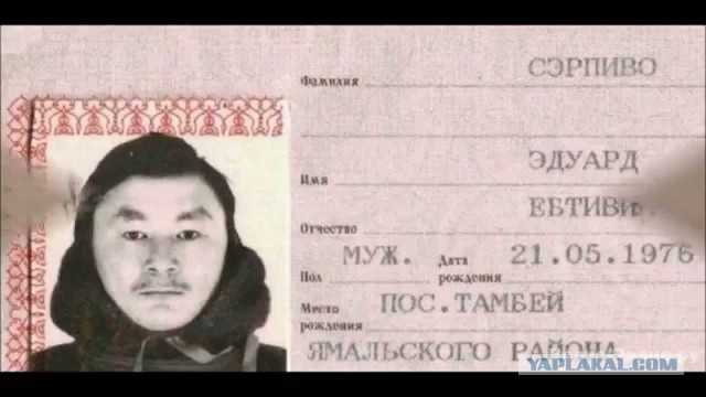 Смешные  и необычные фамилии