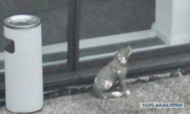 Панорама Лондона или рассмотреть лицо прохожего...