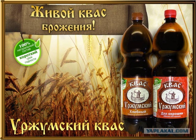 Квас! Обзор сортов
