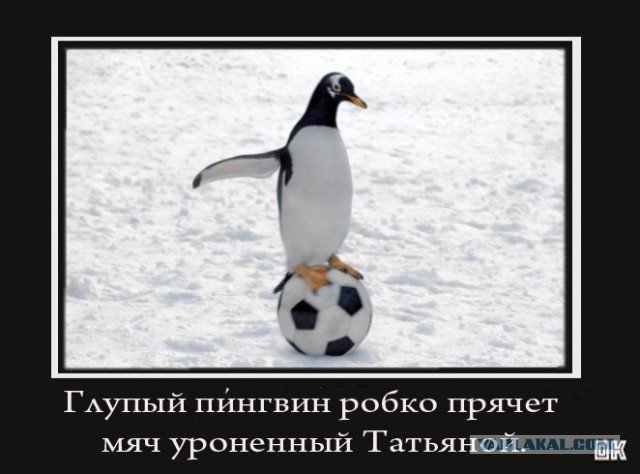 Картинки разные