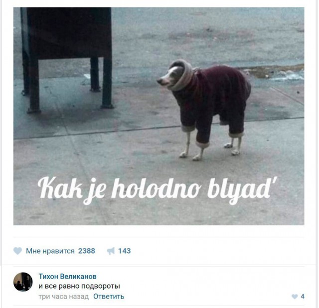 Занимательные картинки.