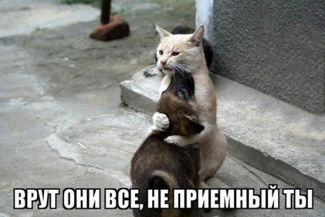 Подборка интересных и веселых картинок