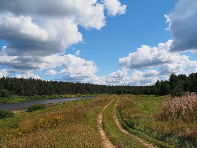 Несколько летних дней на Мологе. Фотоподборка.
