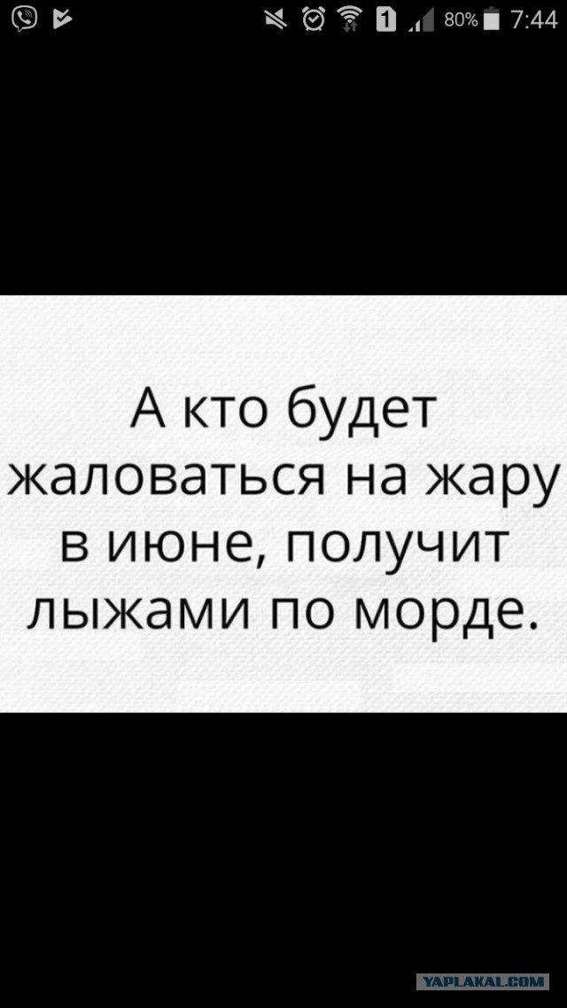 Забавные комментарии, шутки и фразы из этих ваших интернетов
