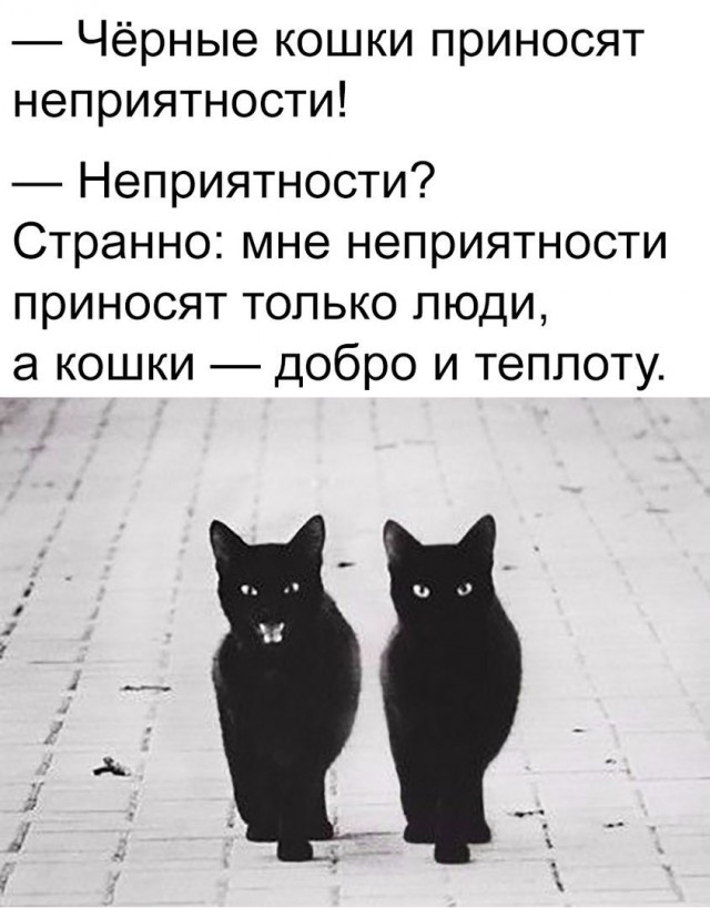 100 картинок для поднятия настроения!