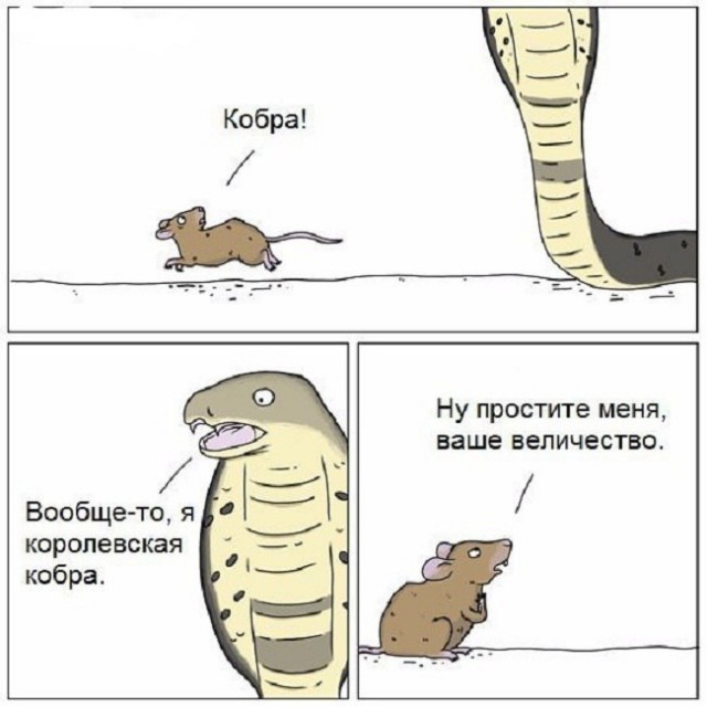 Всякие странные картинки