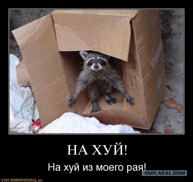 Блеск и нищета. Почему многие американцы страдают от чудовищной бедности