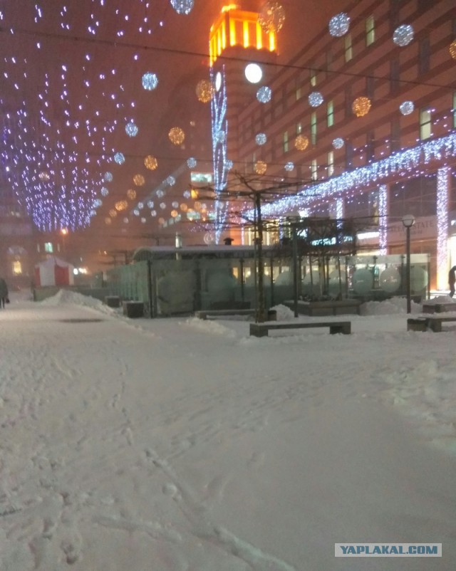 Вот и пришла весна!