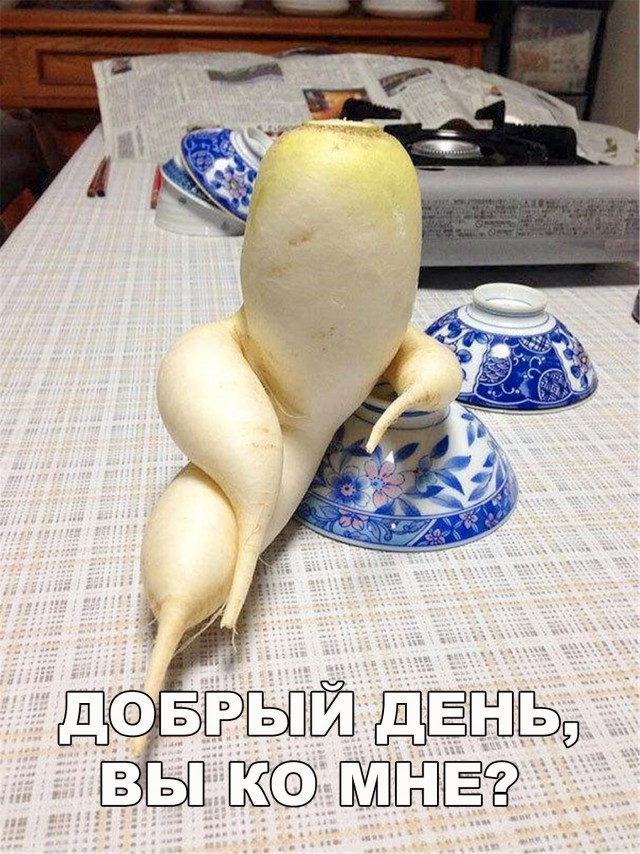 Нестандартный юмор