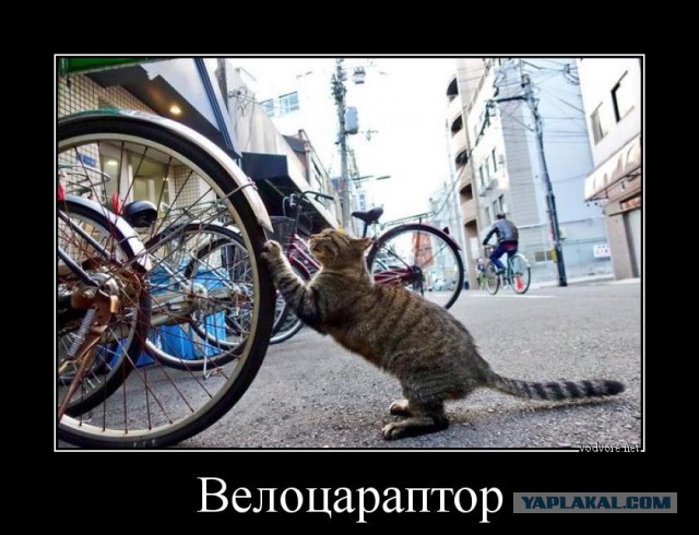 Деревенская Америка - 4