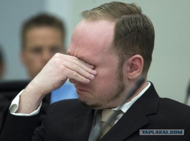 Голландский политик покончила с собой после изнасилования мигрантами