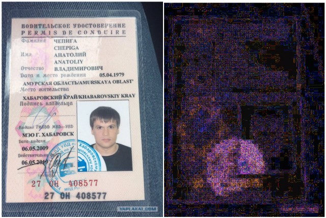 «Расследователи» дела Скрипаля подделали права «Чепиги – Боширова»