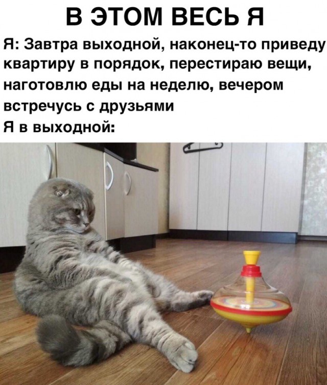 Немного милоты