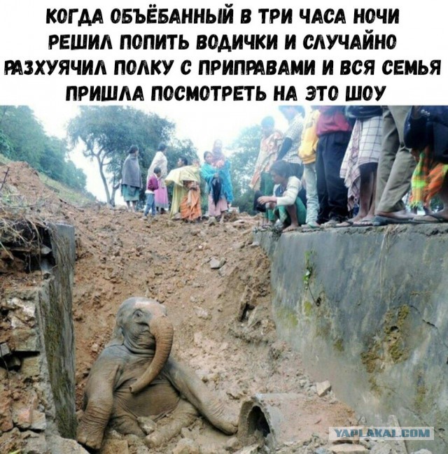 Немного картинок в эту субботу