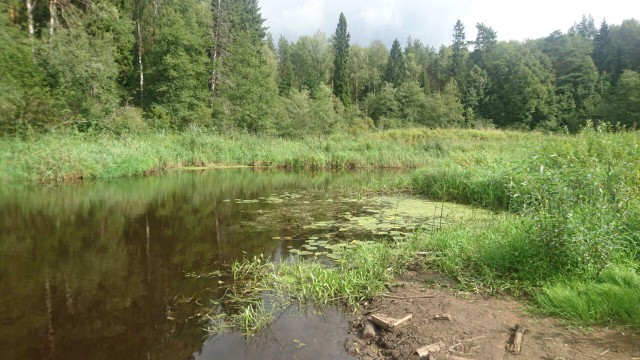 Разбавим грусть-тоску в глухозимье