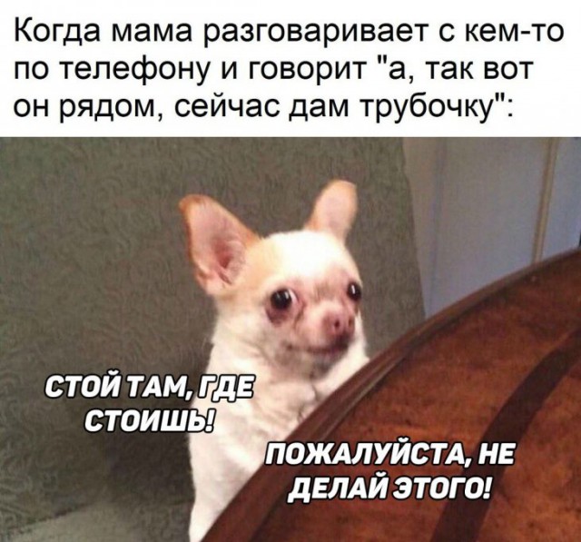 Немного картинок для настроения