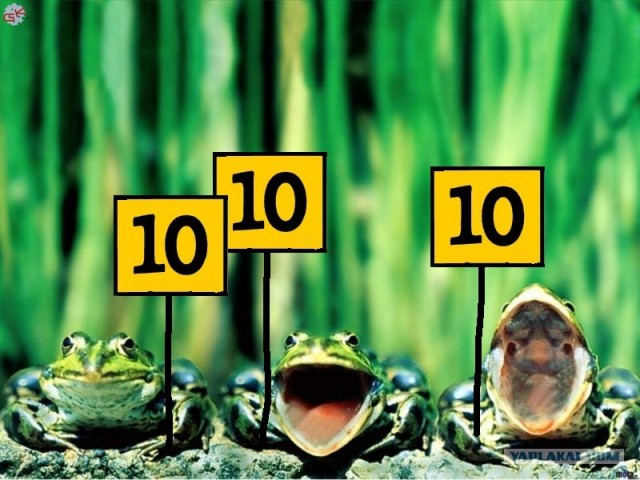 Улыбнитесь,они старались