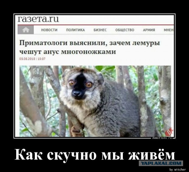 Скушная страна
