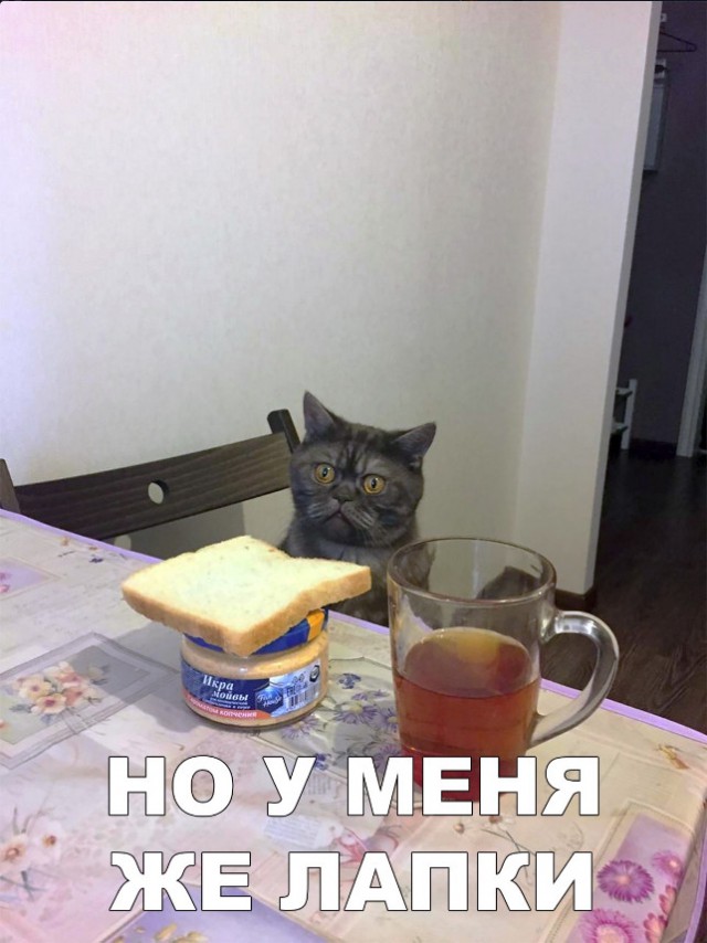 Нестандартный юмор