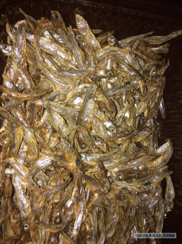 Момбаса, Кения